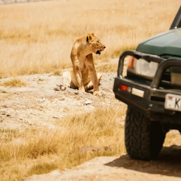 Amboseli safari camp accommodation tented lodge Kenya budget safari