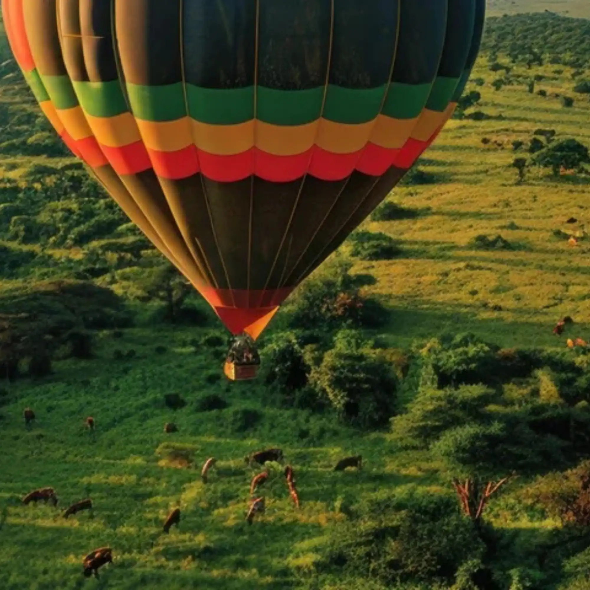 Maasai Mara