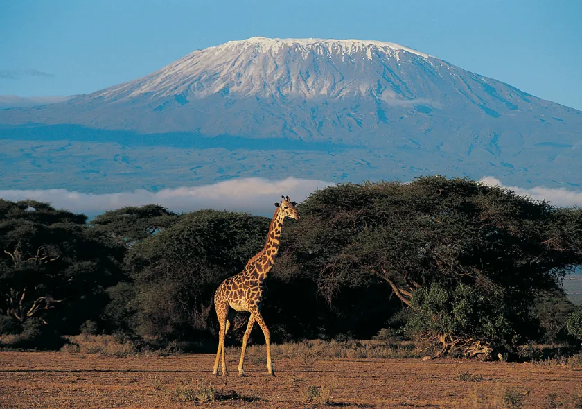 1 Day Amboseli National Park Safari (Private Tour)