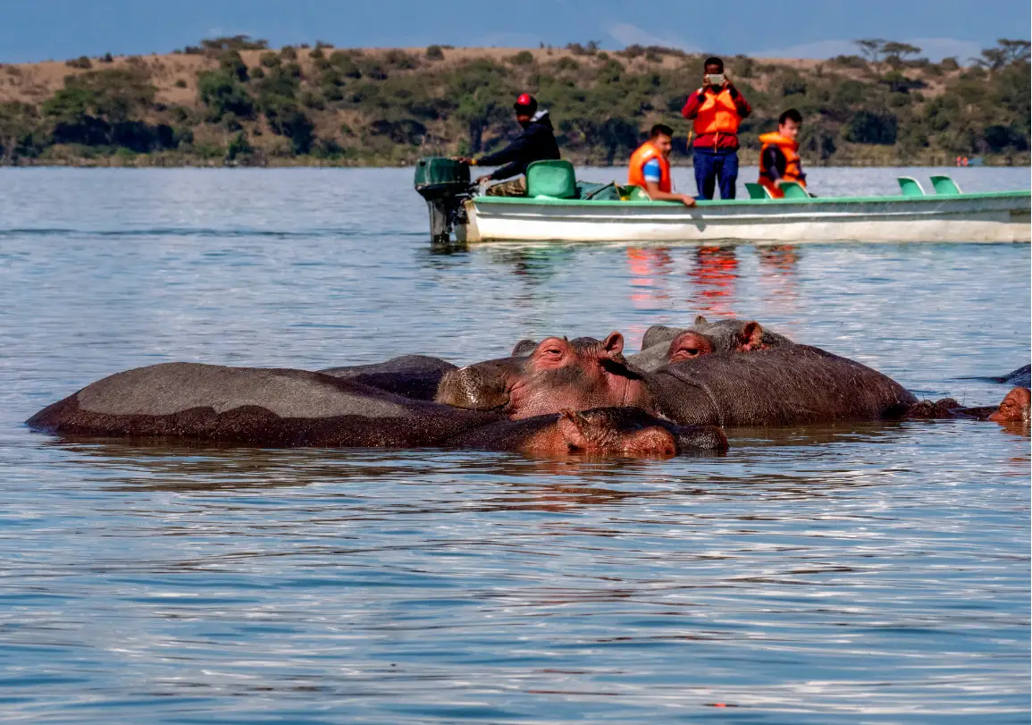 5 Days Masai Mara, Lake Nakuru & Lake Naivasha Safari