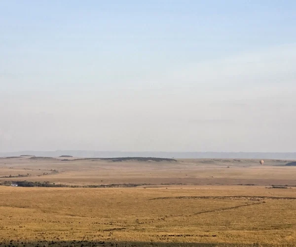 maasai mara tour