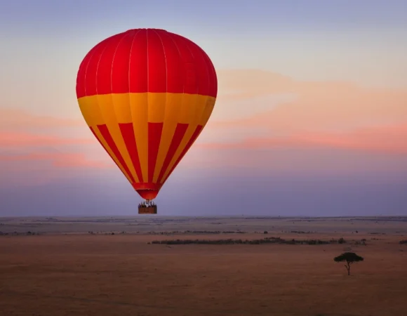 6 Days Masai Mara, Lake Nakuru & Amboseli Budget Safari
