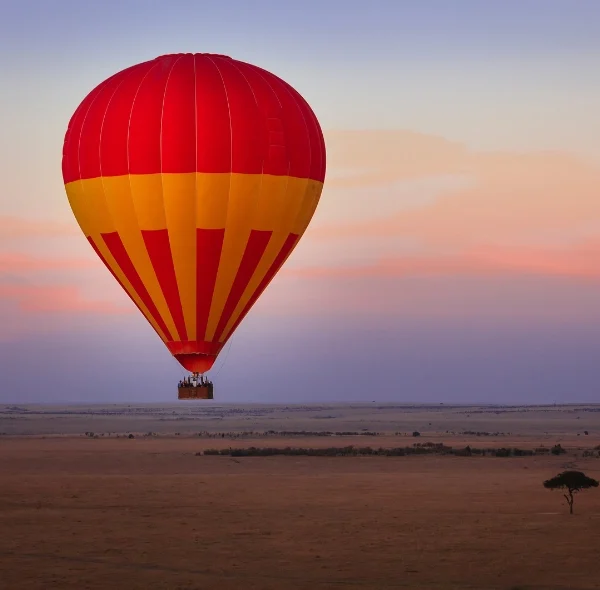 6 Days Masai Mara, Lake Nakuru & Amboseli Budget Safari